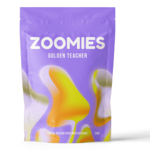 Golden Teacher | Magic Mush Canada
