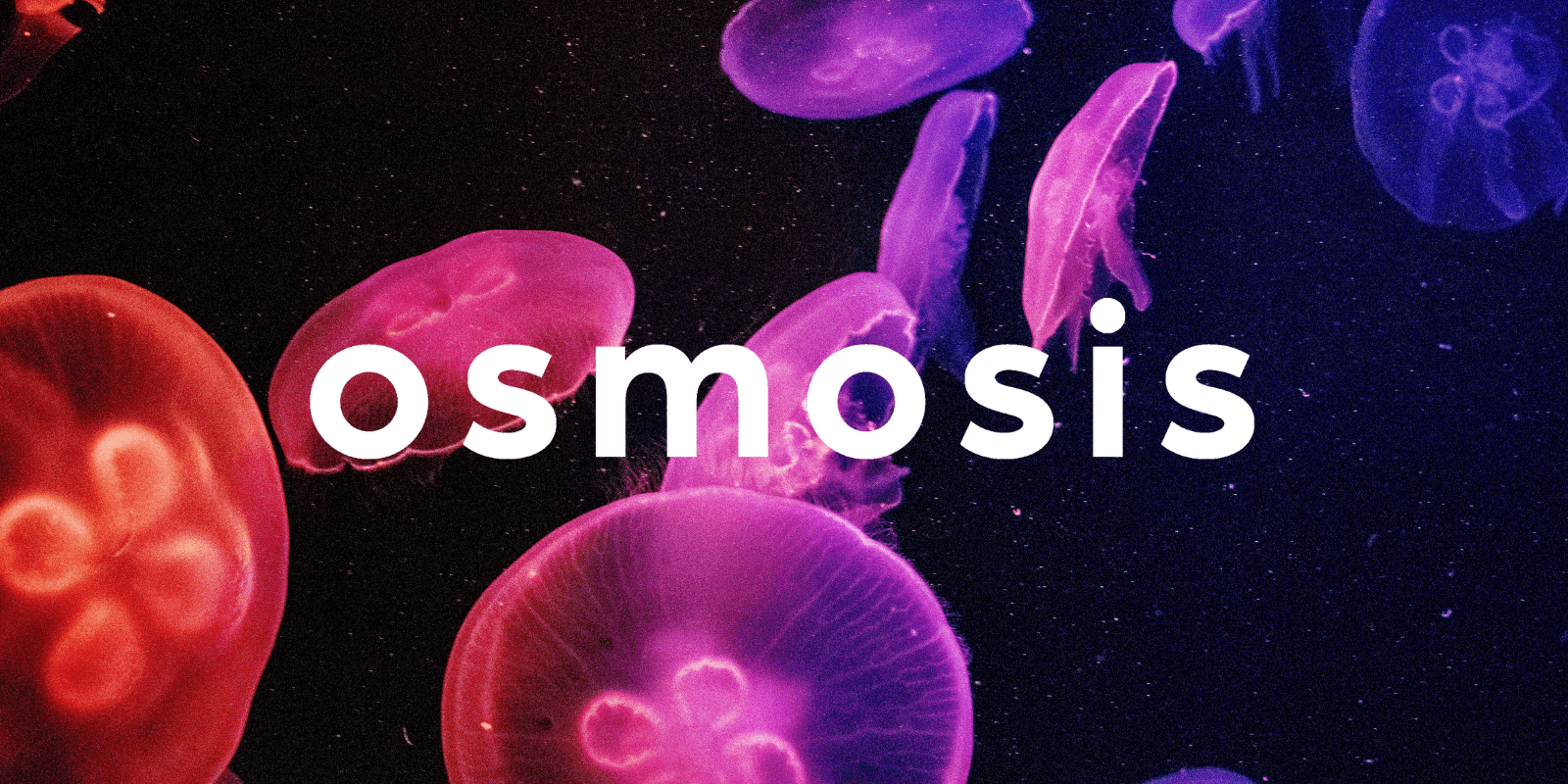 Zoomies osmosis banner | Magic Mush Canada