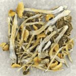 Trinity | Magic Mush Canada