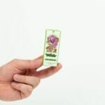 Wonder – Psilocybin Chocolate Bar – Dark Chocolate | Magic Mush Canada