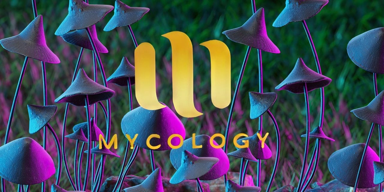 Zoomies Summer 2023 Banner - Mycology | Magic Mush Canada