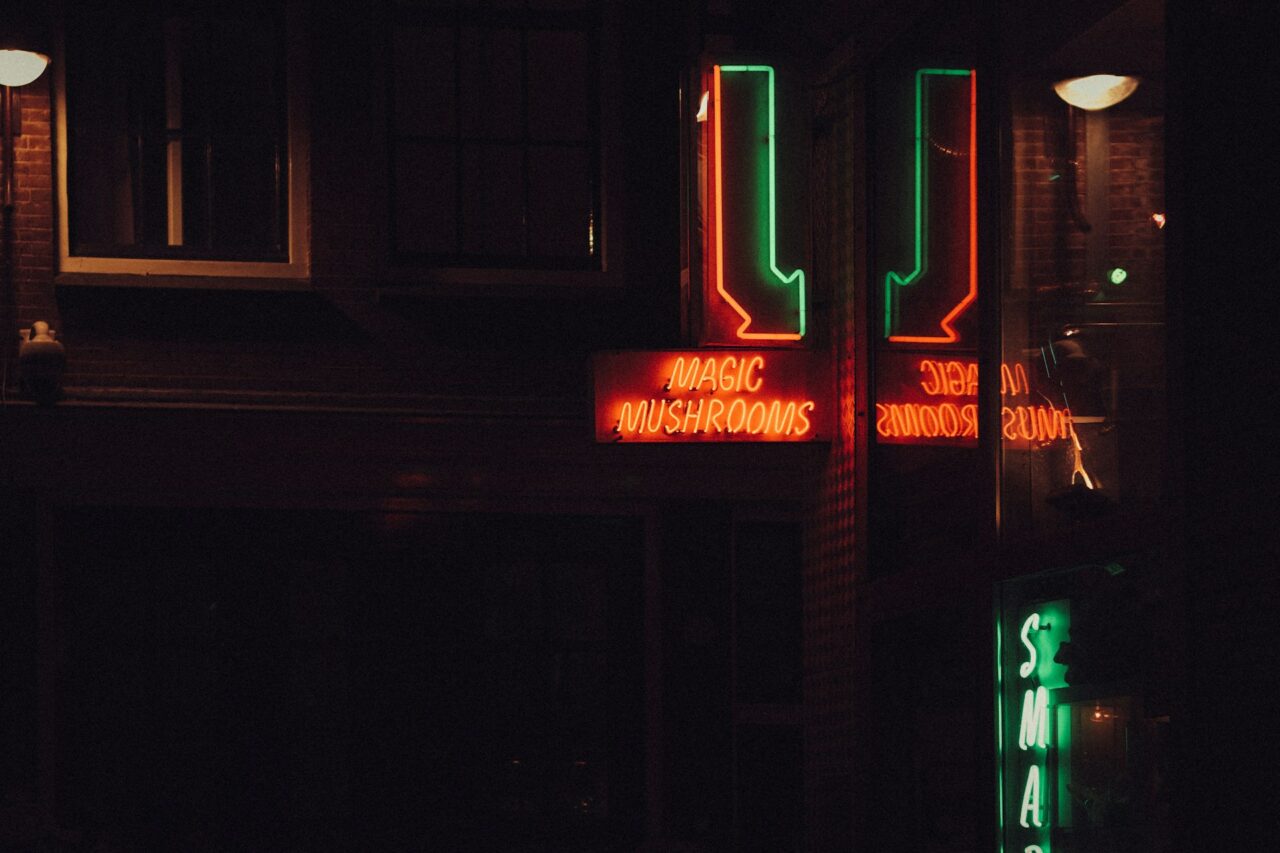 Vancouver’s Mushroom Dispensary – How Canada is Bridging the Gap in the U.S. Psychedelic Mushroom Surge?